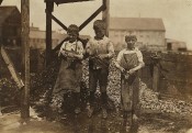 Three cutters in Factory #7, Seacoast Canning Co. On the right is Grayson Forsythe, 7 years old. Middle is George Goodell, 9 years old, finger badly cut and wrapped up. Said, “the salt gets unto the cut.” Left, Clarence Goodell, 6 years. (L.H.)